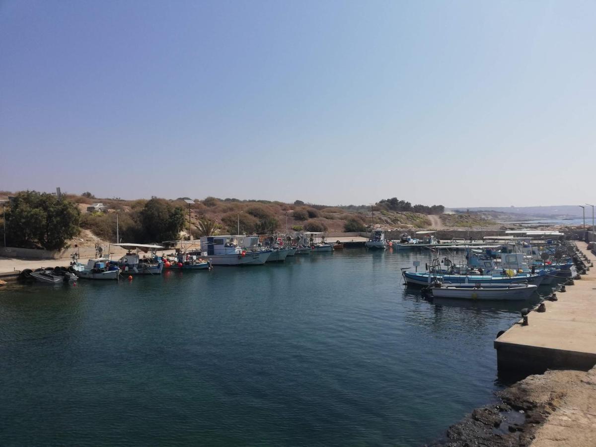 Xylophaghou Larnaca Xylophagou 2-Bedroom Apartment With A Shaded Terrace מראה חיצוני תמונה